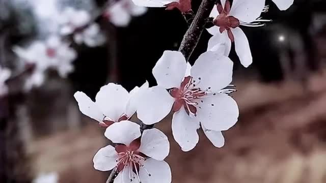 The warmth of the year