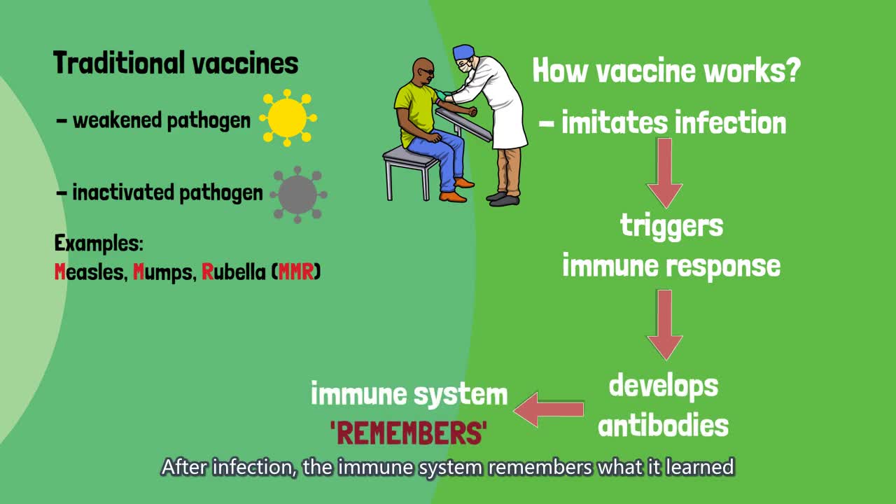 [Quick guide] How do RNA vaccines work in the human bodies?