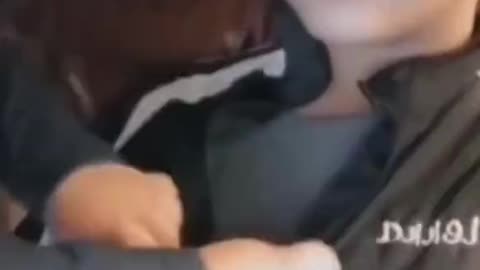 Boys Will Be Boys
