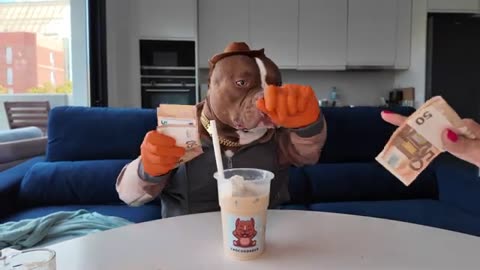 Bully Eats Fruit Salad with Human Hands