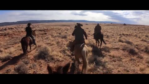 Gathering Feral Horses On the Navajo Nation!