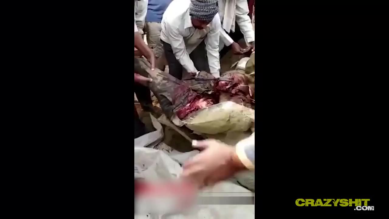 *WARNING* Disturbing 👿
