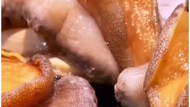 GUESS WHAT ITS NAME IS?