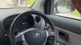 Monitor Lizard Causes a Crash