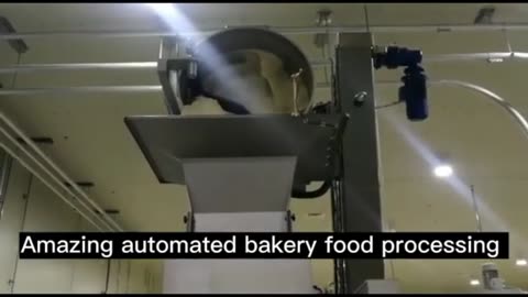 How pizza is made Automatic Pizza Crust Production Line in Food Factory Automated Bakery Machine