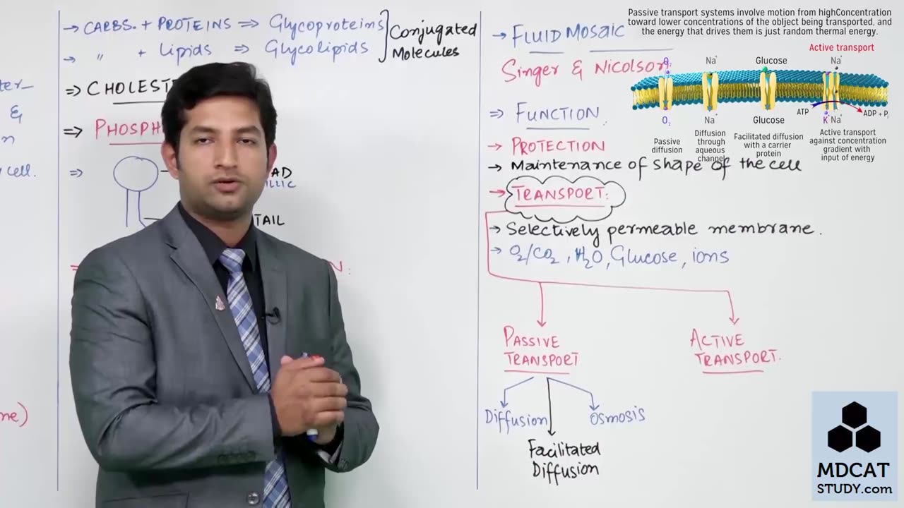 LEC#5 CELL MEMBRANE