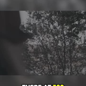 Achieving Your Goals: Visualizing Success and Overcoming Challenges