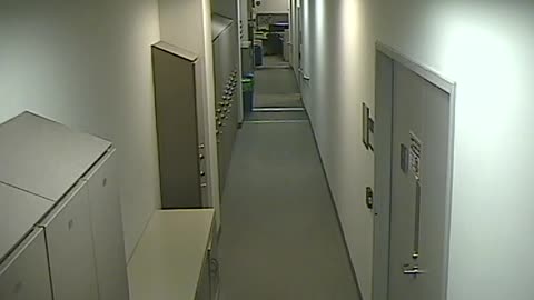 8803VZN06USCPInteriorHallway_2021-01-05_19h20min01s033ms.mp4