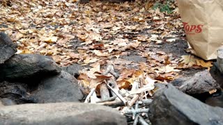 Ferro rod camp fire