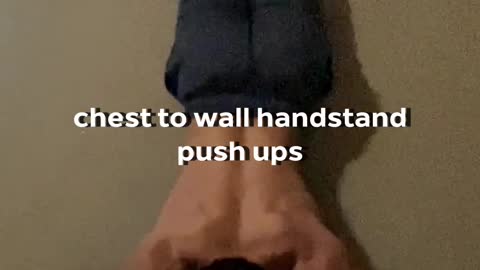 want calisthenics shoulders?