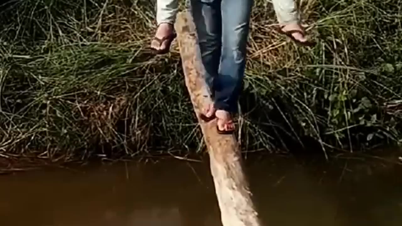 Funny videos