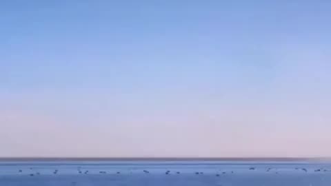 Where is the curve if it’s a ball? Can’t find it anywhere.