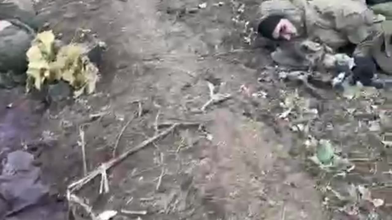 Russian Soldiers Cover the Grounds