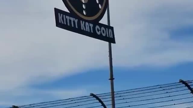 🏆 #KittyKatCoin at #NASCAR’s championship race at #PhoenixRaceway 🏁