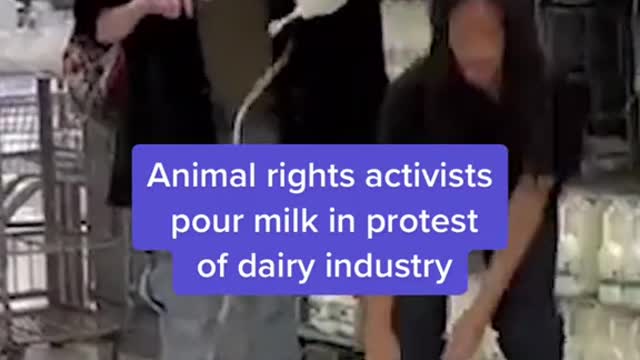 Animal rights activists pour milk in protest of dairy industry