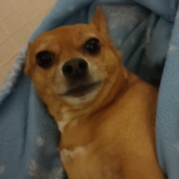 TC hanging with Papa, my little man.