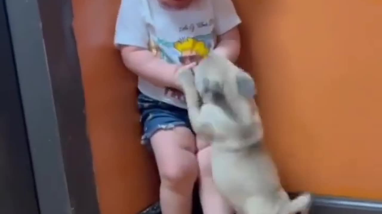So Sweet, Core Memory #shorts #viral #shortsvideo #video