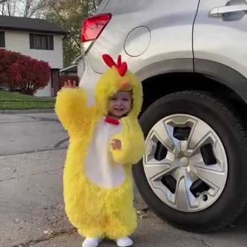 Away from animals..what do you think of these cute creatures 🥰🥰🥰🥰?