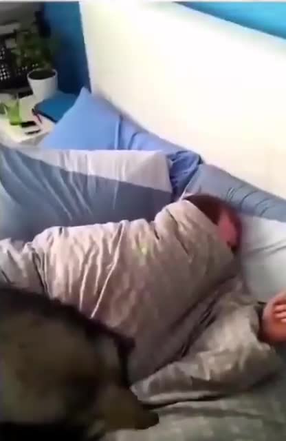 🇫🇷🇫🇷🇫🇷 Bonjour! Je vous souhaite une merveilleuse journée de travail