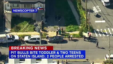 2 teens, toddler attacked by pit bulls on Staten Island