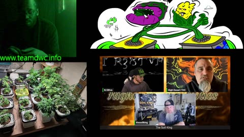 all things dwc