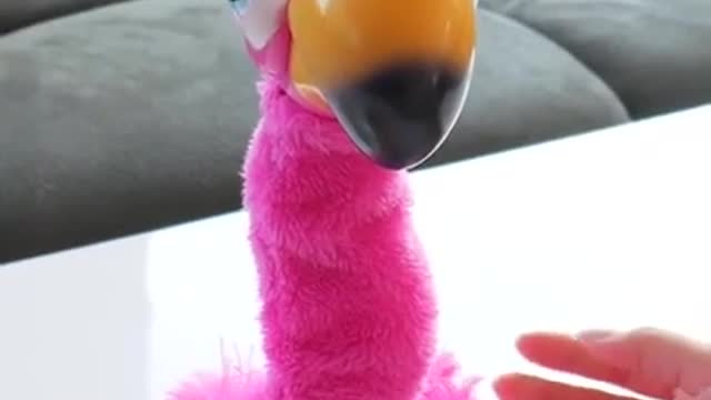 _ funny video cool toys #shorts