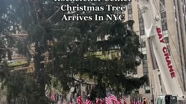 What is everyone staring at today in Rockefeller Center?