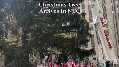 What is everyone staring at today in Rockefeller Center?