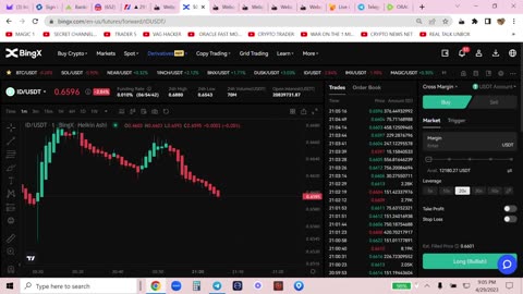What is the best and worst Crypto Leverage settings on BING X