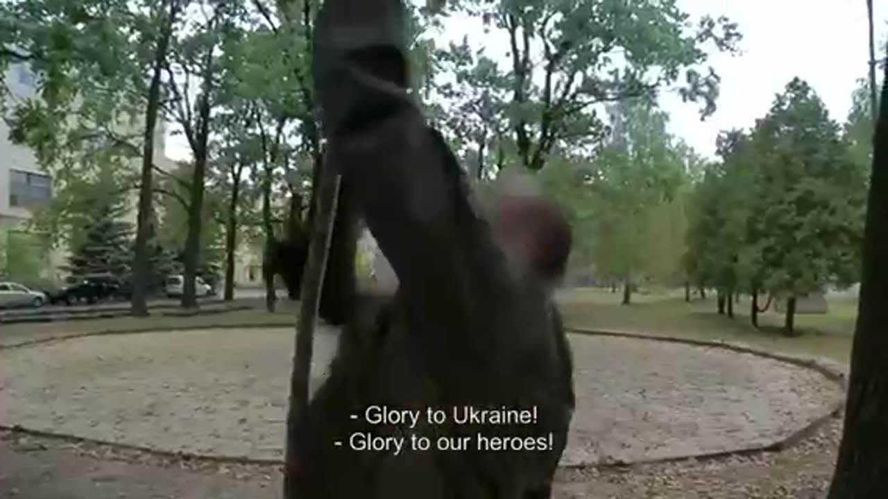 Ukraine 2014: The Masks of the Revolution