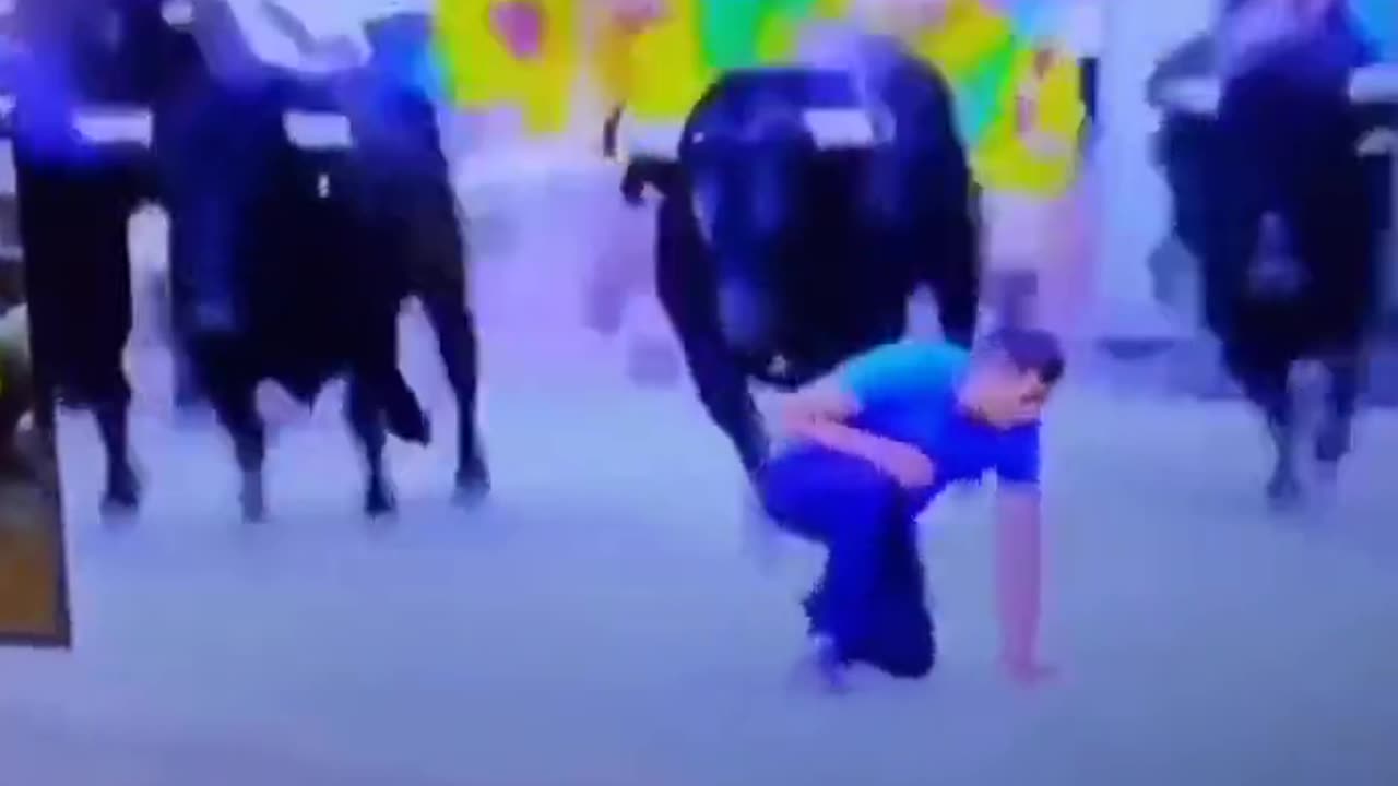 When you are so ugly that even the bulls pass you by