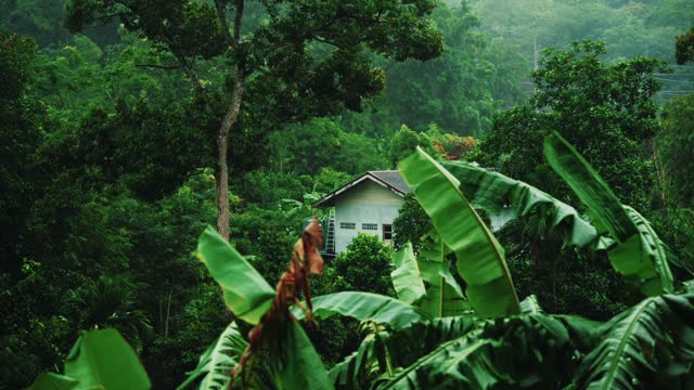 Light rain in front of the house, nature is beautiful