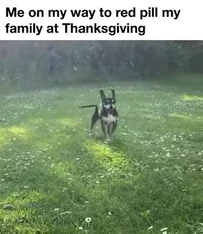 Happy Thanksgiving Everyone!! 😜