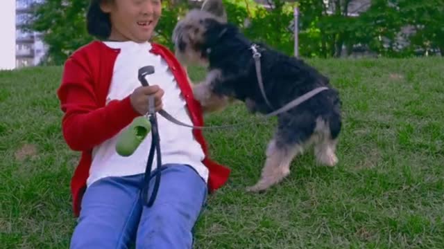 How a little boy's sitting on the grass training his pet dog, how looks beautiful.