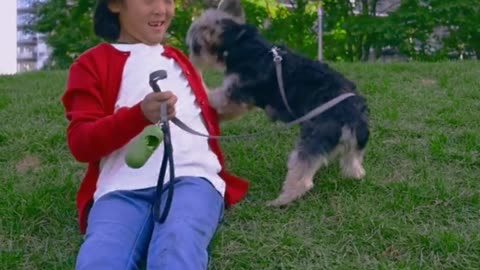 How a little boy's sitting on the grass training his pet dog, how looks beautiful.