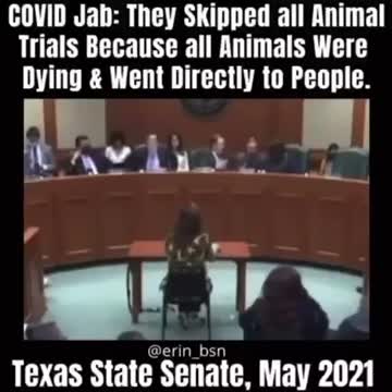 COVID Jab: They skipped all ANIMAL trials because all animals were dying...