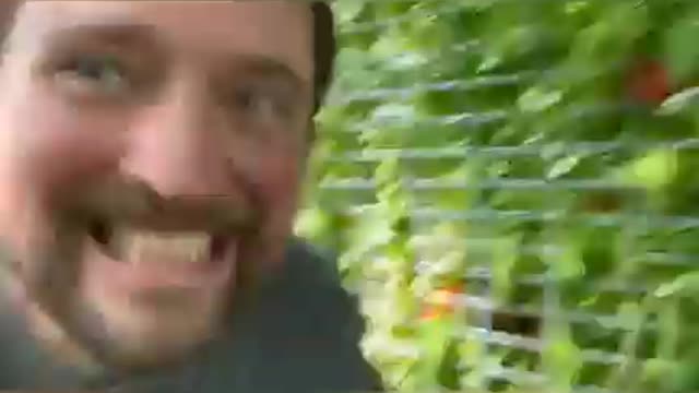 proof owen benjamin is running a scam!!!!!!