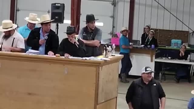 11 yr old auctioneers at Middlefield Ohio standardbred driving horse sale. May 28 2022