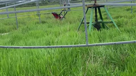 Using Horse Walker to Pull Pram