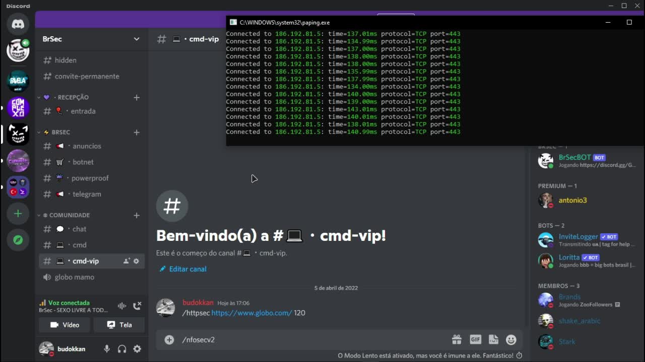 BrSec Botnet derrubando globo.com - discord na desc