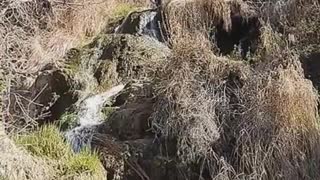 Mogensen Trail Waterfall 2