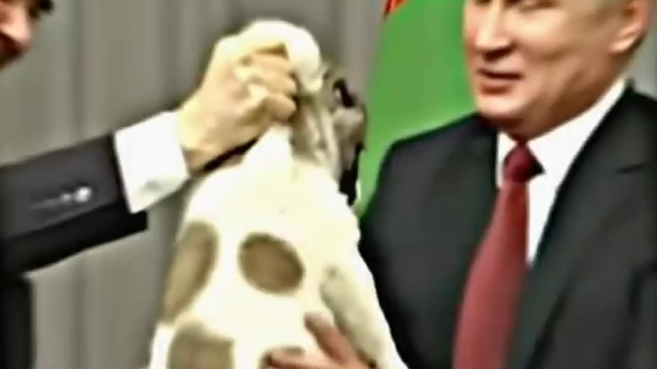 Animal lover Rasiya Rashtrapati Putin baheri animal love fantastic#@#@