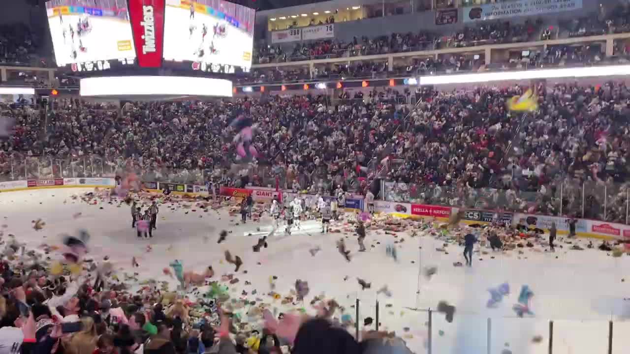 Thousands of Stuffed Animals, Hitting World Record, Flew From the Stands