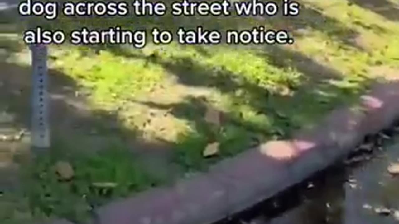 CRAZY Man Follows Lady Around She Panics