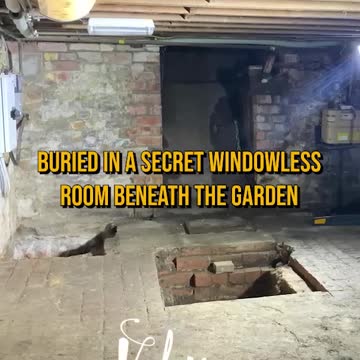 Joe Rogan- Benjamin Franklin a Cereal Killer ??