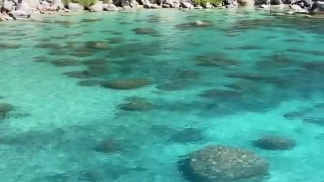 The most tropical-looking waters at Lake Tahoe, sitting at a solid 55 degrees