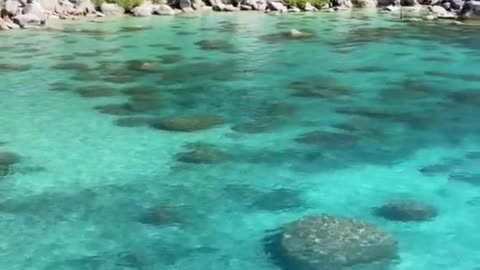 The most tropical-looking waters at Lake Tahoe, sitting at a solid 55 degrees