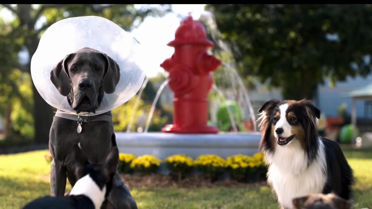Bug And Peggie