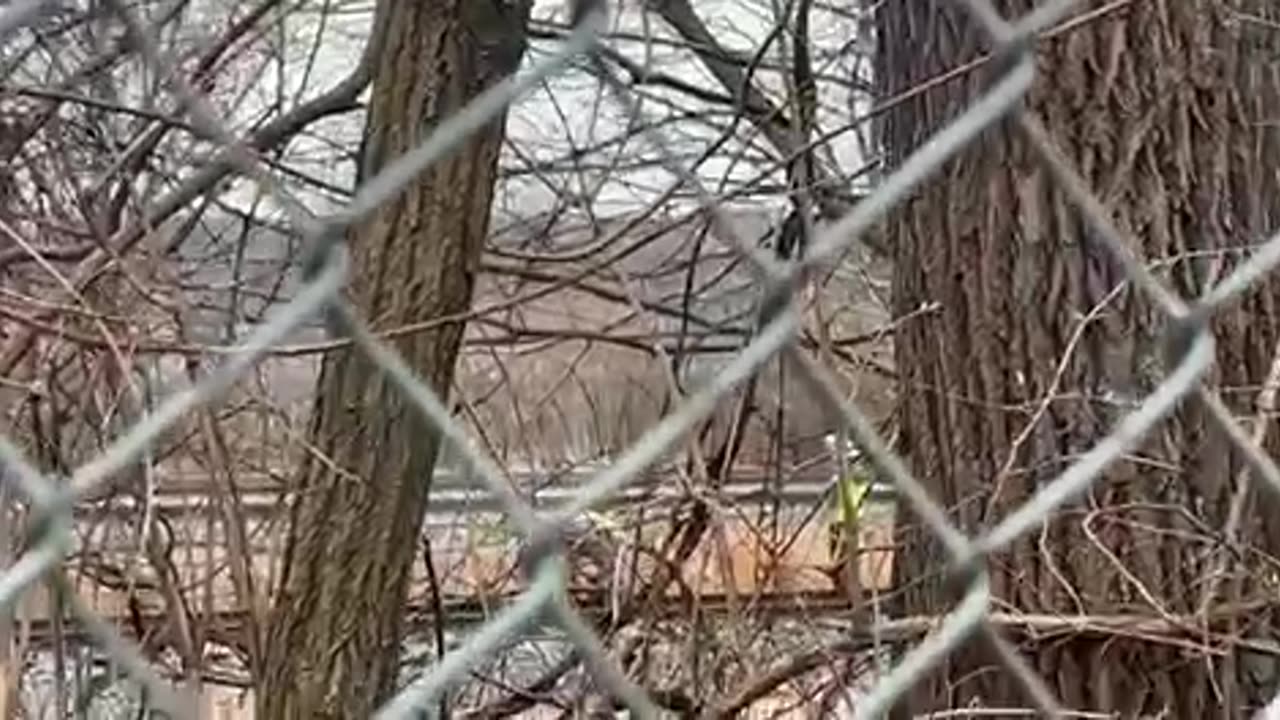 CAUGHT ON CAMERA 📷BRAND NEW TRAIN 🚂 RAIL BEING CUT IN PENNSYLVANIA