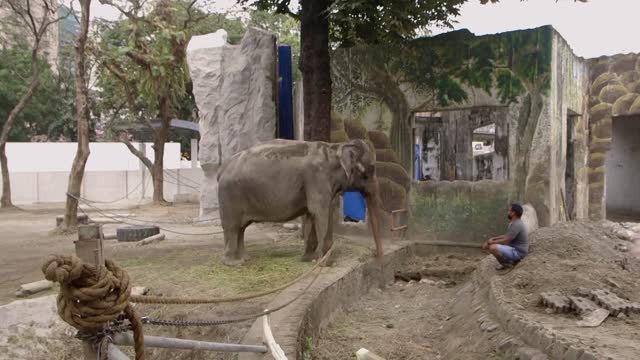 Minors get vaccinated at Manila zoo